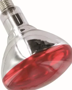 Equideos Ampoule infrarouge Philips 250W
