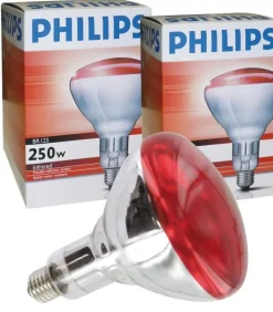 Best Equideos Ampoule rouge Philips