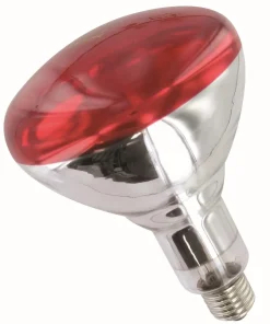 Best Equideos Ampoule rouge Philips