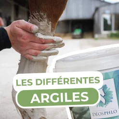 Discount Equideos Argi Green - 5kg