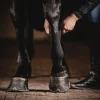 Best Equideos Bandage tube - One Equestrian - T.Cheval