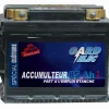 New Equideos Batterie de clôture - 12V