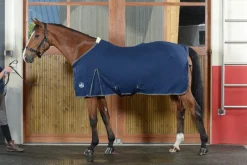 Discount Equideos Chemise coton basic Horsewin