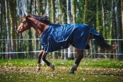 New Equideos Chemise d'extérieur - Horsewin Basic