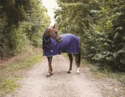Equideos Chemise séchante - Horsewin