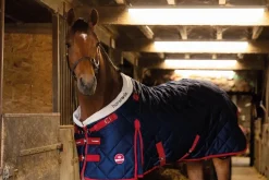 Equideos Couverture d'écurie 400g/m² - Horsewin Premium Bordeaux