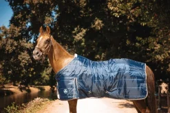 Best Equideos Couverture d'écurie 200g/m² - Horsewin Premium