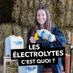 Clearance Equideos Curcumine électro - liquide