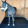 New Equideos Dalle de box - Paddock