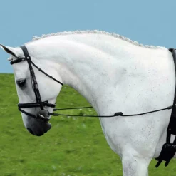 Hot Equideos Enrênement élastique - T. cheval