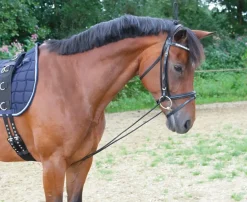 Equideos Enrênement élastique réglable