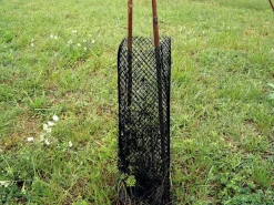 Hot Equideos Gaine de protection plants - 100 pièces Black