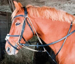 Sale Equideos Gogue à poulies - T. cheval