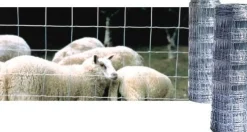 Outlet Equideos Grillage à moutons - 50m