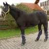 Clearance Equideos Guêtres de transport - T. cheval - 4 pièces