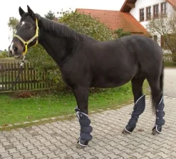 Clearance Equideos Guêtres de transport - T. cheval - 4 pièces