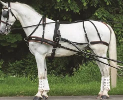Hot Equideos Harnais marathon - T. cheval de trait