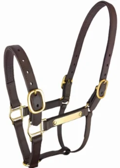 Discount Equideos Licol Biotack - T. Cheval