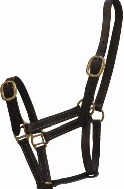 Equideos Licol cuir - Latigo/Celtic Equine