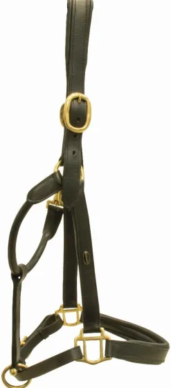 Discount Equideos Licol en cuir - T. Cheval de trait - Noir
