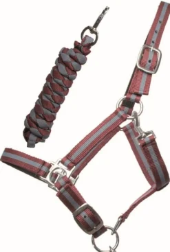 Best Equideos Licol et longe nylon doublé cuir