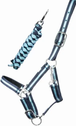 Best Equideos Licol et longe nylon doublé cuir