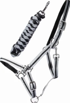 Best Equideos Licol et longe nylon doublé cuir