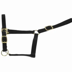 Clearance Equideos Licol nylon doublé cuir