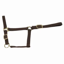 Clearance Equideos Licol nylon doublé cuir