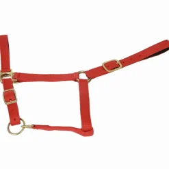 Clearance Equideos Licol nylon doublé cuir
