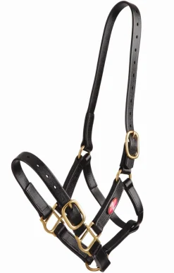 Online Equideos Licol synthétique - Zilco