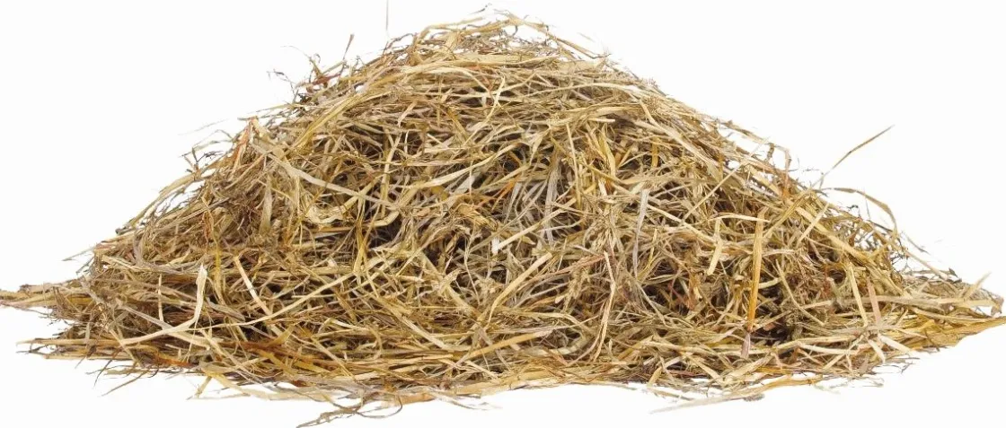 Clearance Equideos Origin Fiber High Energy