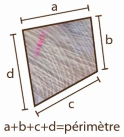 Online Equideos Piquet acacia polygonal