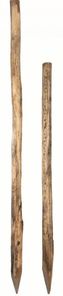 Outlet Equideos Piquet acacia rond calibre 8/10cm
