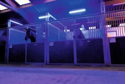 Online Equideos Plafonnier d'écurie LED - Option photostimulation