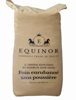 Best Equideos Préfané Equinor