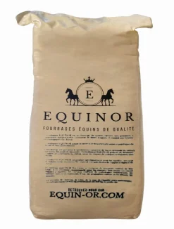 Best Equideos Préfané Equinor