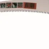 Equideos Scie vigneron traditionnelle 4212-11-6T - 280mm