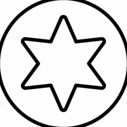 Equideos Vis penture étoile - Rocket