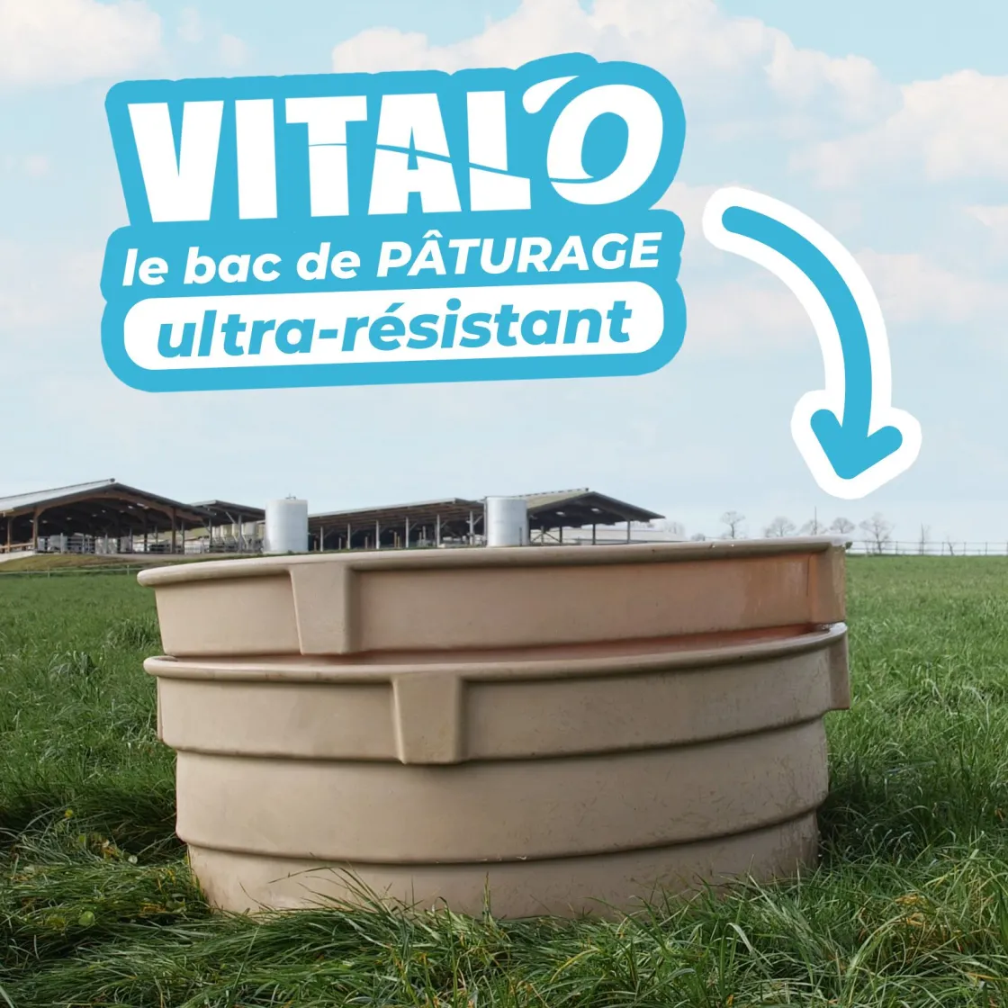 Outlet Equideos Vital'O ovoïde